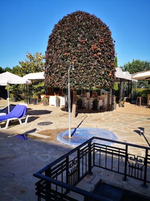 Green Garden View Apartment Nisipurile de Aur Exterior foto